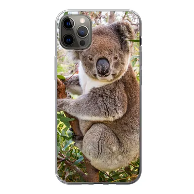 Produktbild von MuchoWow® Handyhülle Schutzhülle Hülle für iPhone 12 Pro Max Koala - Blätter - Kinder - Jungen - Mädchen Silikon Softcase Handy Hülle - Hartschale