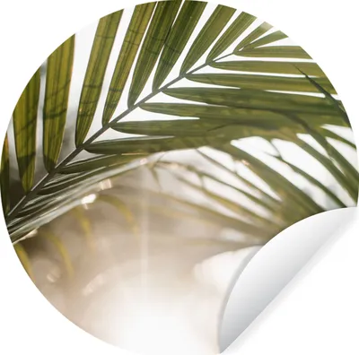 Produktbild von MuchoWow® Runde Wandtattoo - Wandsticker Tapete Aufkleber Palme - Palmenblatt - Sonne - Sommer Ø 50 cm Selbstklebend und Repositionierbar - Wandaufkleber - Kreis - Wand Kreis - Wand Bild - Foto Tapete - Selbstklebende - Wohnzimmerdekoration - Wand Dekoration - Kinderzimmer