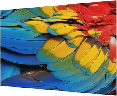 Produktbild von Wandtapete - Dekorative Tapete für Wohnzimmer - Tapetenfolie für Wanddekoration - 208x146 cm - Regenbogenfedern