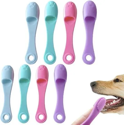 Produktbild von Famanu Zahnbürste für Hunde – Handliche Zahnpflege für kleine Hunde