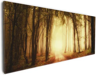 Produktbild von Wallario Premium Leinwandbild Sonnenuntergang auf dem Waldweg in Größe 30 x 75 cm