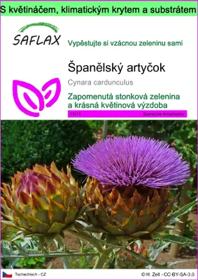 Obrázek produktu pro SAFLAX Garden to go - Španělský artyčok - Cynara cardunculus - 50 Semena - S květináčem, klimatickou poklicí a pěstebním substrátem