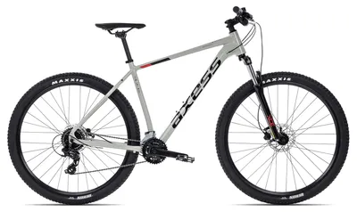 Produktbild von Axess BRASH leichtes Hardtail Mountainbike 29 Zoll Hellgrau 21 Zoll