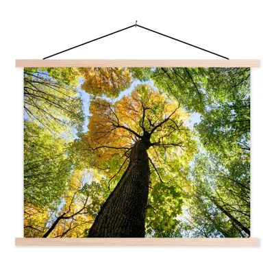 Produktbild von MuchoWow® Textilposter Baum - Natur - Wald 40x30 cm mit holzfarbenen Rahmen - Bilder