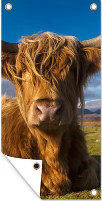 Produktbild von MuchoWow® 30x60 cm Outdoor-Poster Gartendeko Sichtschutz Garten Poster für den Garten  Schottische Highlander - Tiere - Gras
