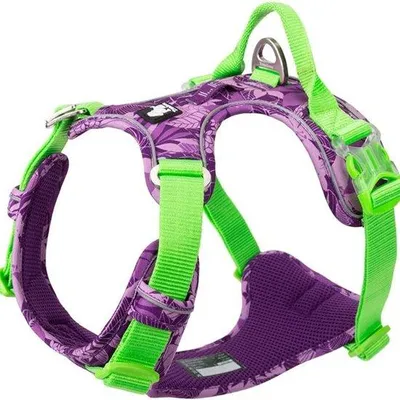 Image de Collier à laisse réfléchissant - Taille moyenne - pour chiens de grande, moyenne et petite taille