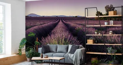 Immagine prodotto di Carta da parati in tessuto non tessuto murale bellissimo campo di lavanda 270 cm (L) x 180 cm (H) decorazione murale della parete