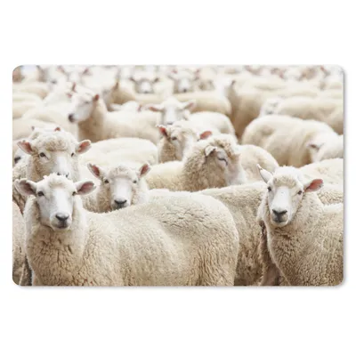 Produktbild von MuchoWow® Schreibtischunterlage Schafe - Wolle - Weiß 60x40 cm - XXL Mauspad - Großes Mauspad