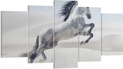 Produktbild von Bild auf Leinwand - Leinwandbild - Pferd Tier Natur - 160x85cm - Wand Bild - Wanddeko - Wandbilder - Leinwanddruck - Bilder - Kunstdruck - Wanddekoration - Leinwand bilder - Wandkunst - EA160x85-3644