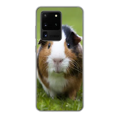 Produktbild von MuchoWow® Handyhülle Schutzhülle Hülle für Samsung Galaxy S20 Ultra Zwei Meerschweinchen Silikon Softcase Handy Hülle - Karteninhaber
