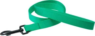 Image de Karlie Art Sportiv Plus - Laisses pour chiens - M - Nylon - Menthe - 100x2 cm