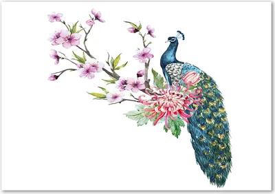 Produktbild von Tulup® Glas-Bild - 100 x 70 - Wandbild aus Glas - Wandkunst - Wandbild hinter gehärtetem Sicherheitsglas - Tiere - Pfau und Blumen - Mehrfarbig