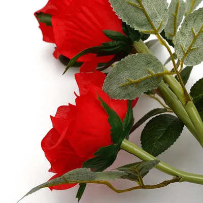 Immagine prodotto di Lanterna di rosa, luce di fiore di rosa, luce di fiore di rosa solare