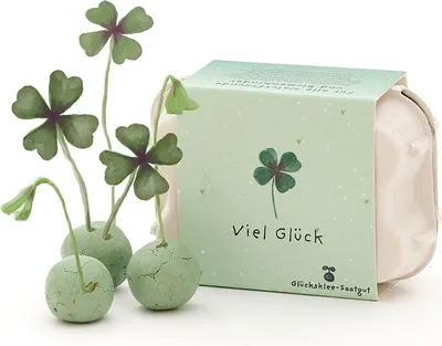 Produktbild von 6 Blumenmurmeln im Eierkarton „Viel Glück“ - Saatkugeln mit Glücksklee-Saatgut