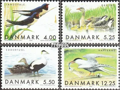 Produktbild von Briefmarken Dänemark 1999 Mi 1223-1226 (kompl.Ausg.) postfrisch Zugvögel