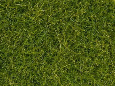 Produktbild von Noch Wildgras XL hellgrün 80 g 07097