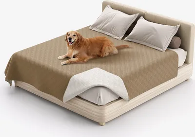 Image de (82x86 pouces, marron clair) couverture de lit pour chien 100% imperméable couverture pour animaux de compagnie canapé protection pour meubles lit canapé réversible