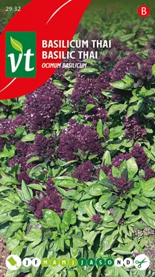 Immagine prodotto di Semi di basilico tailandese - circa 0,4 gr | VT_2932