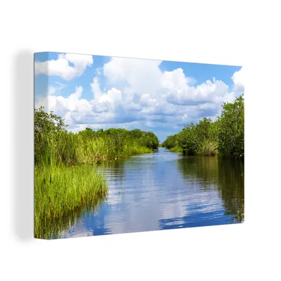 Obrázok produktu pre OneMillionCanvasses® - Výtlačky na plátne - 140x90 cm, Krajina v Everglades, nástenná umelecká dekorácia