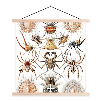 Produktbild von MuchoWow® Textilposter Retro - Spinne - Ernst Haeckel - Spinnen 60x60 cm mit holzfarbenen Rahmen - Wanddekoration