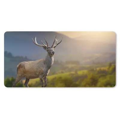 Produktbild von MuchoWow® Schreibtischunterlage Hirsche - Berg - Gras - Sonnenuntergang - Tiere - Natur 80x40 cm - XXL Mauspad - Gaming Mauspad