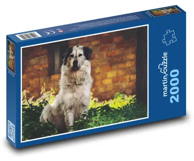 Obrázek produktu pro martinpuzzle - Puzzle 2000 - Pes v zahradě