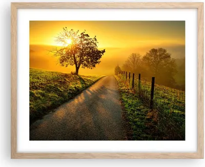 Produktbild von Gerahmtes Poster - Rahmen in heller Eiche - Feld Straße Baum - 50x40 cm - Wand Bild - Wanddeko - Wandbilder - Kunstposter - Wandposter - Bilderrahmen - Bilder - Kunstdruck - Wandbild - P2NAA50x40-3851
