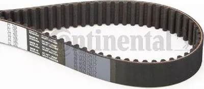 Immagine prodotto di Cintura dentata