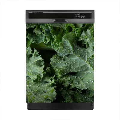 Produktbild von Magnete Dekorative 60x70 cm Küche Magnetmatte Spülmaschine - Salat Blätter