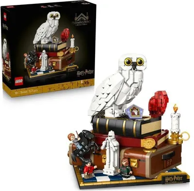 Immagine prodotto di LEGO Harry Potter La Scuola di Magia e Maghi Edizione da Collezione 76466, Set di Costruzione Fai da Te per Adulti, 25° Anniversario Harry Potter