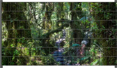 Produktbild von Wallario Zaunsichtschutz mit Motiv Weg durch den Mooswald für Ein- und Doppelstabmatten Zäune in der Größe 250 x 140 cm
