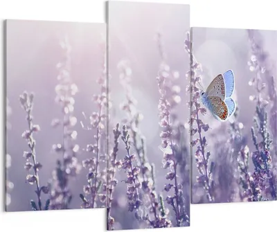 Produktbild von Bild auf Leinwand - Leinwandbild - Schmetterling Wiese Blume - 130x100cm - Wand Bild - Wanddeko - Leinwanddruck - Bilder - Kunstdruck - Wanddekoration - Leinwand bilder - Wandkunst - CB130x100-4014