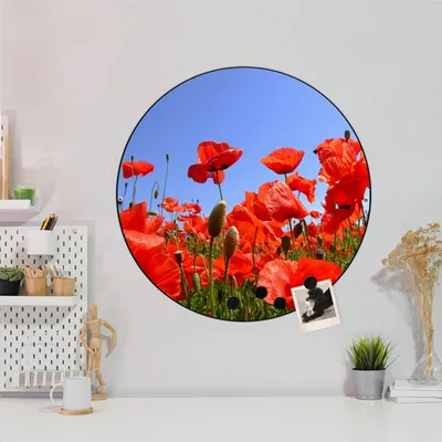 Produktbild von Design Stahlmagnettafel Schwarz Rund 47cm Mohnblumen