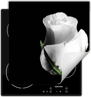 Produktbild von DarHaus Herdabdeckplatte 60x52 cm Anti Rutsch Matte Aufrollbar, schwarz - Tulpe