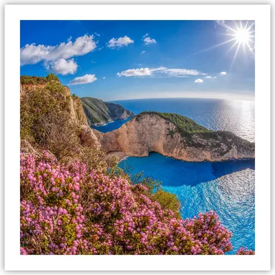 Produktbild von Poster - Poster ohne Rahmen - Meer Sommer Blume - 60x60 cm - Wand Bild - Wanddeko - Wandbilder - Kunstposter - Wandposter - Bilder - Kunstdruck - Wanddekoration - Wandbild - P2XAC60x60-3741