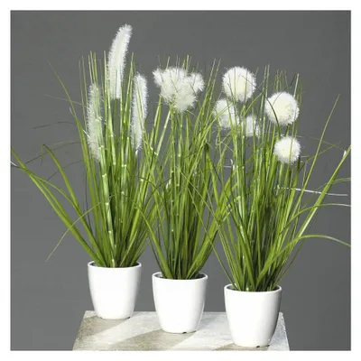 Produktbild von Kunstpflanze Gras im weißen Topf, 3 Stück, Höhe 38 cm, Grün/Creme, Kunstgras, Ziergras, Tischdekoration