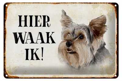 Produktbild von Blechschild Spruch 30x20cm holländisch Hier Waak ik Yorkshire Terrier Hund