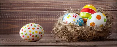 Produktbild von Wallario Poster - Bunte bemalte Eier an Ostern im Vorgelnest vor hölzerner Wand, Kunstdruck Größe: 50 x 125 cm