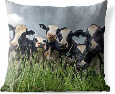 Produktbild von MuchoWow® Outdoor Kissen - Kuh - Wolken - Gras - Tiere - 40x40 cm - Wetterfest - Lounge Kissen - Kopfkissen - Interieur - Polster mit Bild