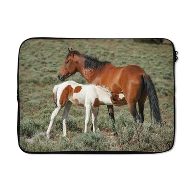 Produktbild von MuchoWow® Laptop Hülle 14 ZollPferde - Fohlen - Blumen Laptoptasche - Laptoptasche - Stoßsicher - Schutzhaube
