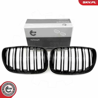 Zdjęcie produktu dla ESEN SKV 66SKV281 Kratka chłodnicy do BMW X5 (E53) – czarna, błyszcząca