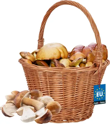 Immagine prodotto di KOTARBAU® Cestino per la spesa - Cestino portaoggetti - Cestino in vimini - ⌀ 36 cm - Cestino per funghi - Cestino per frutta - Cestino da picnic - Colore naturale - Cestino in vimini con manico