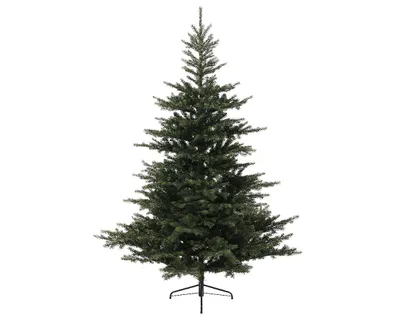 Produktbild von EVERLANDS Weihnachtsbaum Grandis Tanne 681454