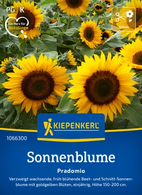 Produktbild von Kiepenkerl Sonnenblumensamen Pradomio Helianthus annuus 30 Pflanzen