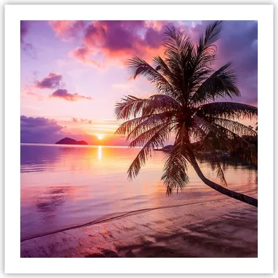 Produktbild von Poster - Poster ohne Rahmen - Strand Meer Palme - 60x60 cm - Wand Bild - Wanddeko - Wandbilder - Kunstposter - Wandposter - Bilder - Kunstdruck - Wanddekoration - Wandbild - P2XAC60x60-3912