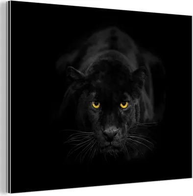 Produktbild von MuchoWow Wanddekoration Metall Metallbild Wandkunst 80x60 cm Panther - Tiere - Schwarz - Augen MuchoWow Aluminium Gemälde - Alubild