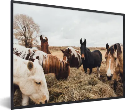 Produktbild von MuchoWow® Gerahmtes Poster Tiere - Pferd 80x60 cm - Poster mit Schwarzem Bilderrahmen Wandposter Rahmen Foto Bilder - Schwarzem - Mit Gestell