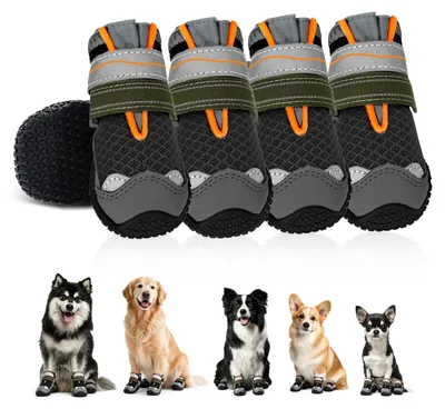 Immagine prodotto di Set di 4 scarpe per cani, ideali per proteggere le zampe