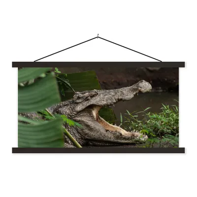 Produktbild von MuchoWow® Textilposter Krokodil mit offenem Maul 90x45 cm mit schwarzem Rahmen - Klemmleisten