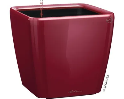 Image de LECHUZA Pot de fleurs QUADRO Premium LS 43 Rouge Scarlet brillant | Pot de fleurs avec système d'arrosage | Surface brillante | 43 x 43 x 39 cm | 16187